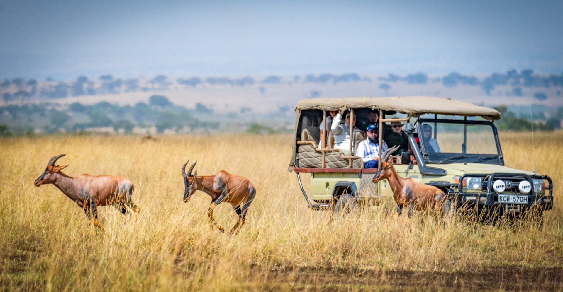 Safari vehicle and wildlife on the Kenyan savannah