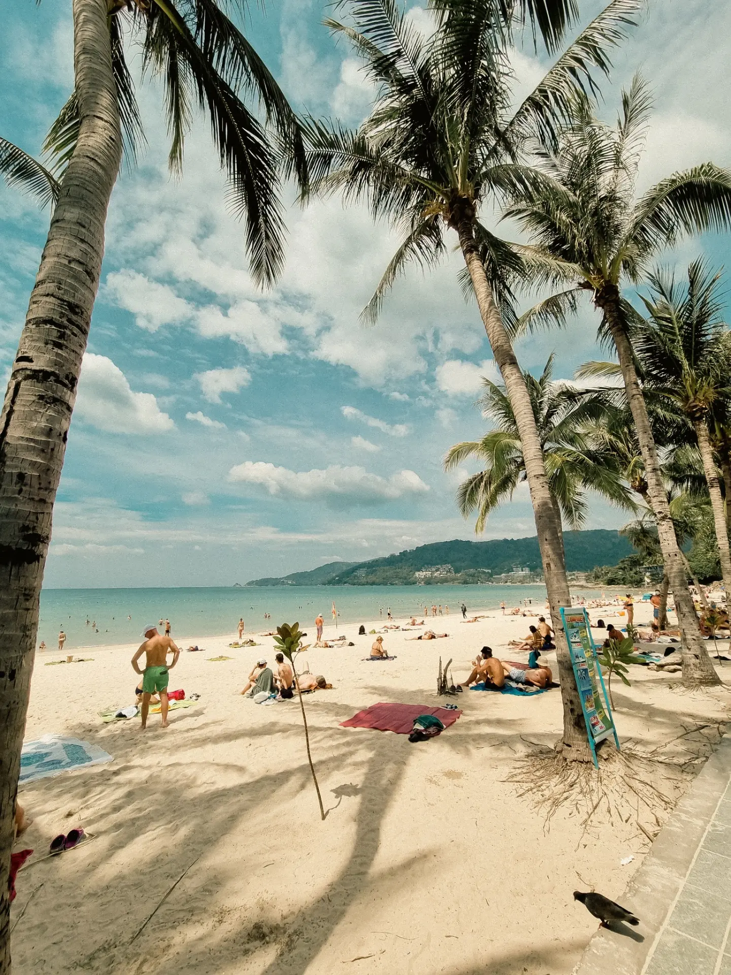 Palm-framed tropical beach in Thailand